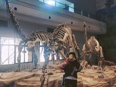 -自贡恐龙博物馆