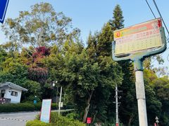 -三门江国家森林公园