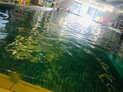 -BlueBubble蓝泡泡婴幼儿游泳会所(合川路店)