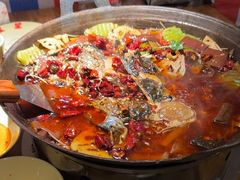 -吴星星毛血旺烤鱼