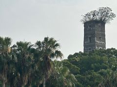 -江心屿景区