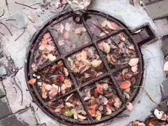 -红九格老火锅(三峡广场店)