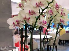 -东门烤鸭店(鼓楼店)