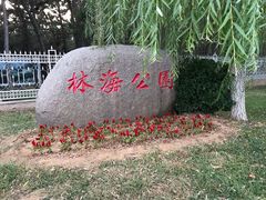 -林海公园