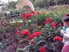 -人民公园(罗湖区)