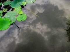 -美兰湖景区
