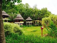 -四季酒店下午茶