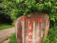 -五营国家森林公园
