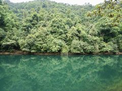-鼎湖山风景区