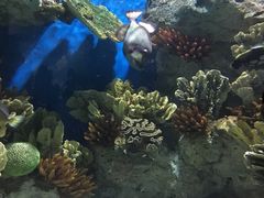 -福州罗源湾海洋世界旅游区