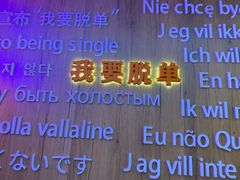 -上海失恋博物馆