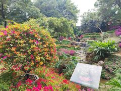 -广州市白云山风景名胜区
