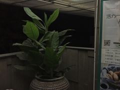 -蔓兰家的四季S0餐厅·融合菜(当代MOMA店)