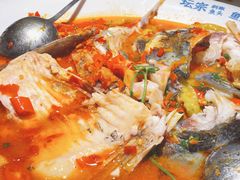 坛宗剁椒鱼头-坛宗剁椒鱼头(河西王府井店)