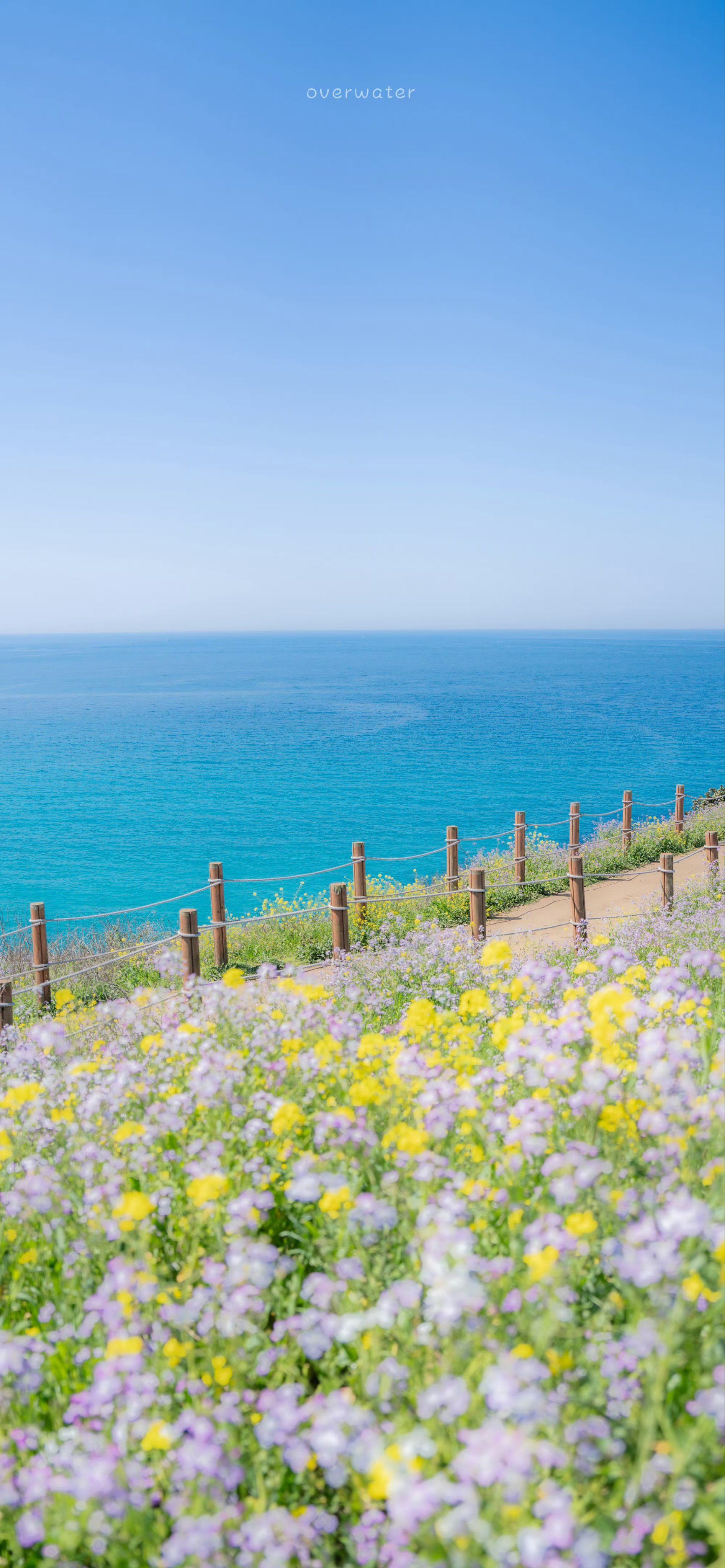 天天领红包梦境般的美景风景,超级美!