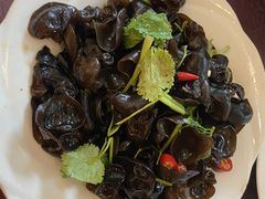 藤椒木耳-食尚盐帮菜(杜甫草堂店)