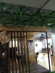 -镁连社·美联社