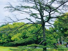 -中山公园