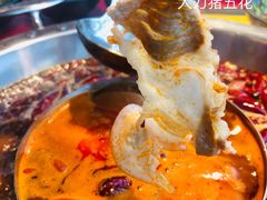 -谭鸭血老火锅(万象九宜城店)