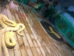 -石家庄市动物园