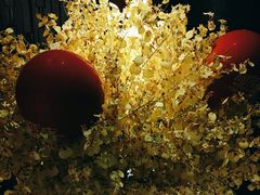 -泰之源足浴会所(玉环店)