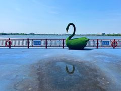 -鹅湖玫瑰文化园