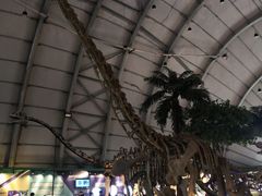 -辽宁古生物博物馆