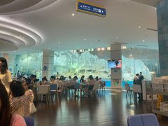 -帝企鹅自助餐厅•儿童岛•真企鹅(长隆企鹅酒店)