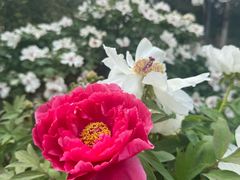 -江南大学(蠡湖校区)