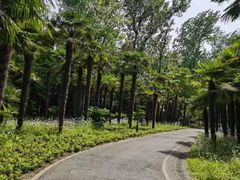 -上海滨江森林公园