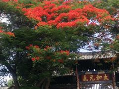 -建水文庙