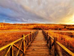 -塞罕坝国家级自然保护区