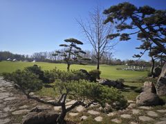 -罗红摄影艺术馆