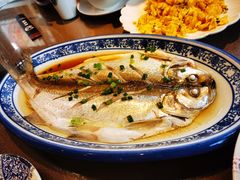 清蒸白水鱼-品渔味湖鲜馆(拈花湾店)