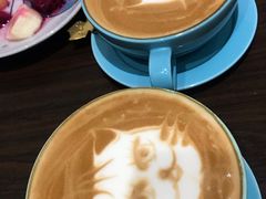 -猫色咖啡·猫咖