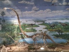 -自贡恐龙博物馆