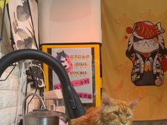 -平行世界·猫咖(首经贸店)