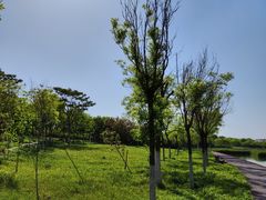 -天津东丽湖风景区