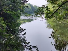 -白马涧龙池景区