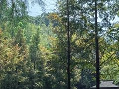 -素山寺森林公园