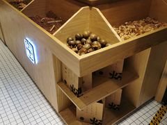 -炖物24章·顺时轻养茶(杭州保利时光里店)