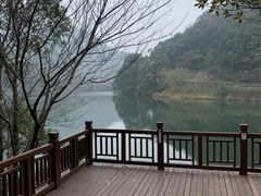 -桃花岭景区