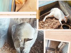 -昆明大悦城未来动物城(螺蛳湾中心店)