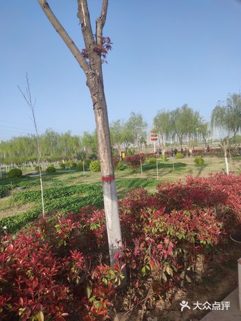不错的地方，溜娃好去处，地方大，沙子虽然是土沙