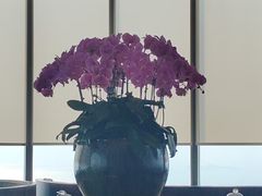 -大连君悦酒店·星海湾壹号Dalian·Dalian(星海广场店)