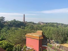 -广州莲花山旅游区