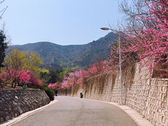 -北京鹫峰国家森林公园