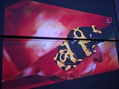 -JMGO坚果投影(长宁龙之梦店)