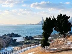 -小麦岛公园