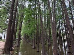 -采石矶景区